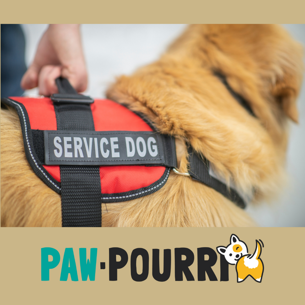 Paw-Pourri: The Perfect Addition to Your Service Dog's Routine