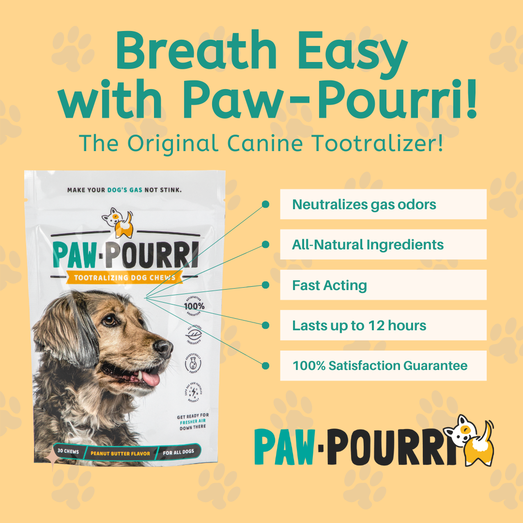 Paw-Pourri: The Original Canine Tootralizer