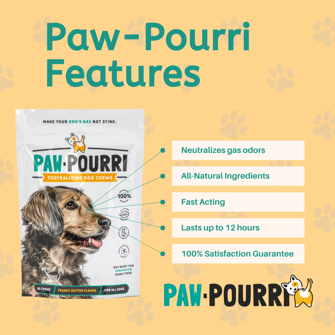 Paw-Pourri: The Original Canine Tootralizer